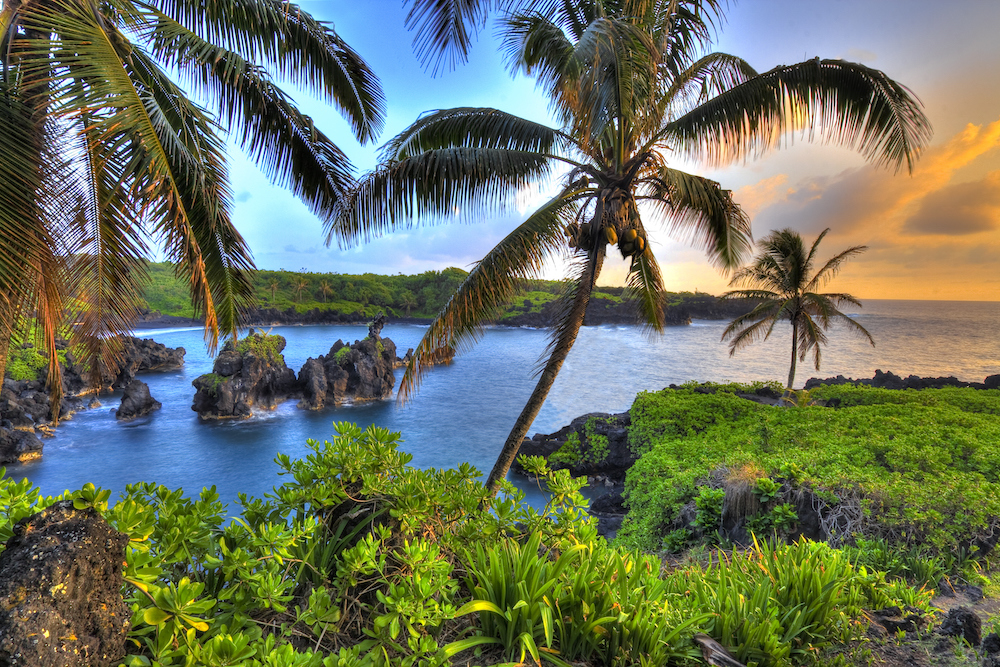 Palm trees, water and lush green mountains in Maui