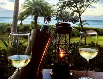 two wine glasses on a table with the ocean and trees in the background