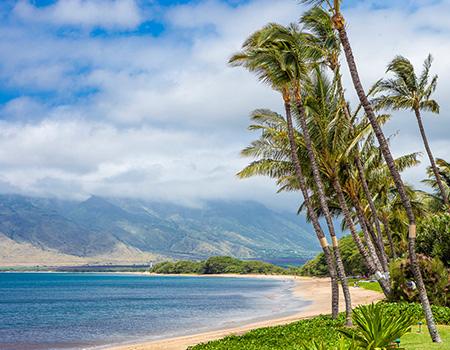 South Maui Beaches - Maui Things To Do 