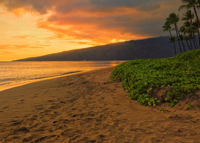 Sugar Beach in Maui at sunset