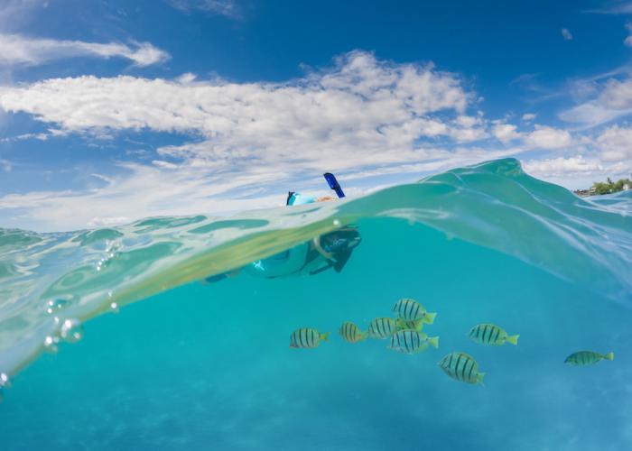 best places to snorkel in maui