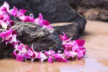 lei day
