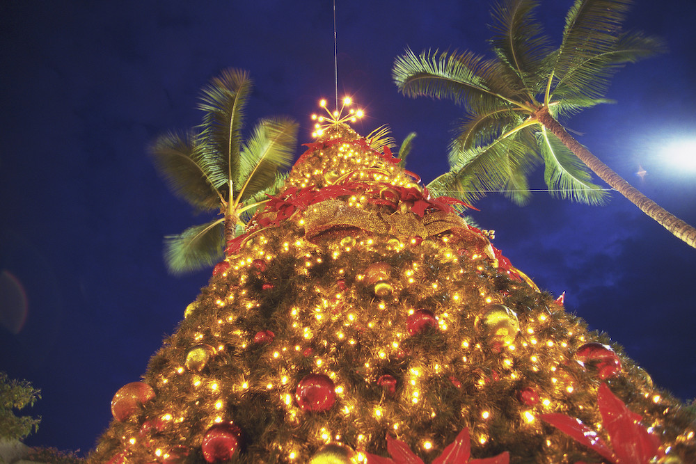 Christmas tree tropical setting with palm trees behind it