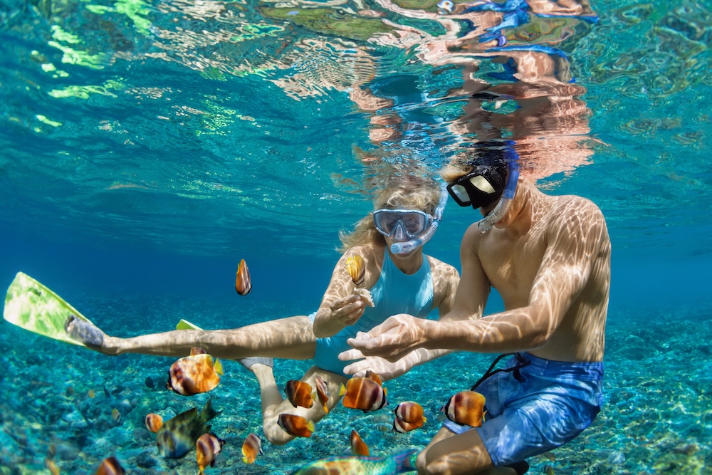 Happy family vacation. Young couple in snorkeling mask hold hand, dive underwater with fishes in coral reef sea pool. Travel lifestyle, watersport adventure, swim activity on summer beach holiday