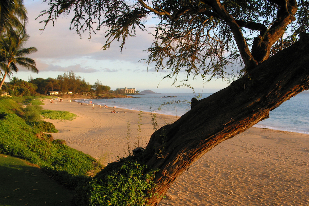 kamaole beach maui