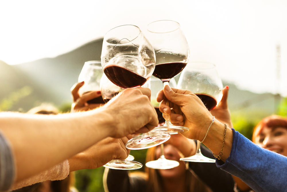 group of people lifting wine glasses in a cheers