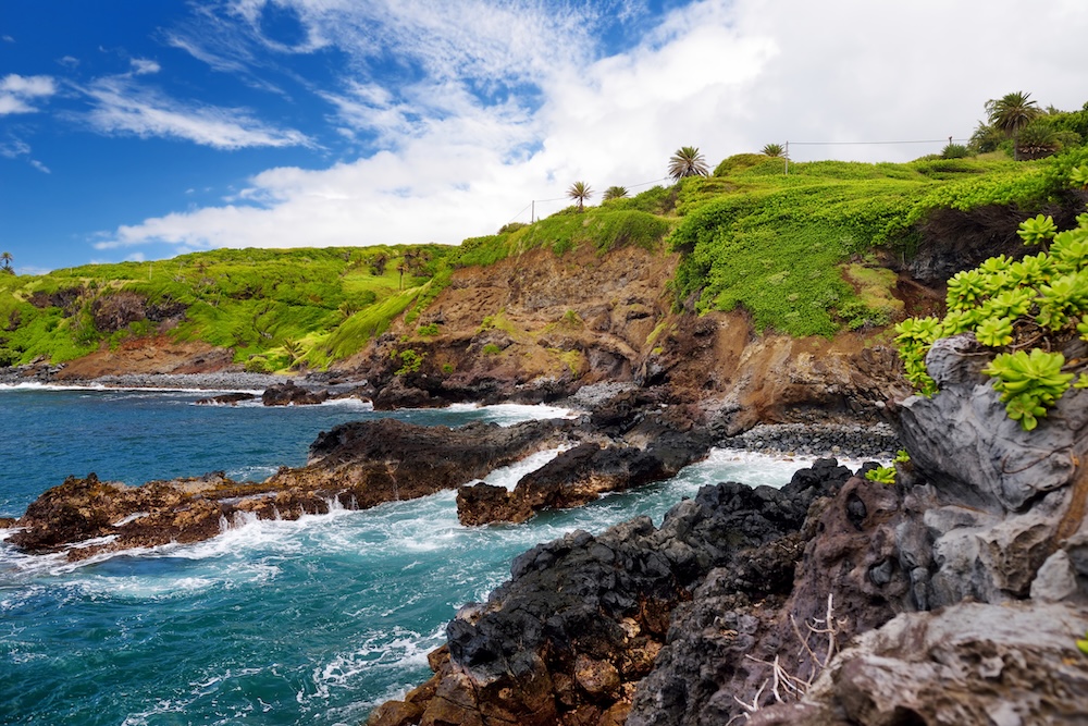 horseback riding maui