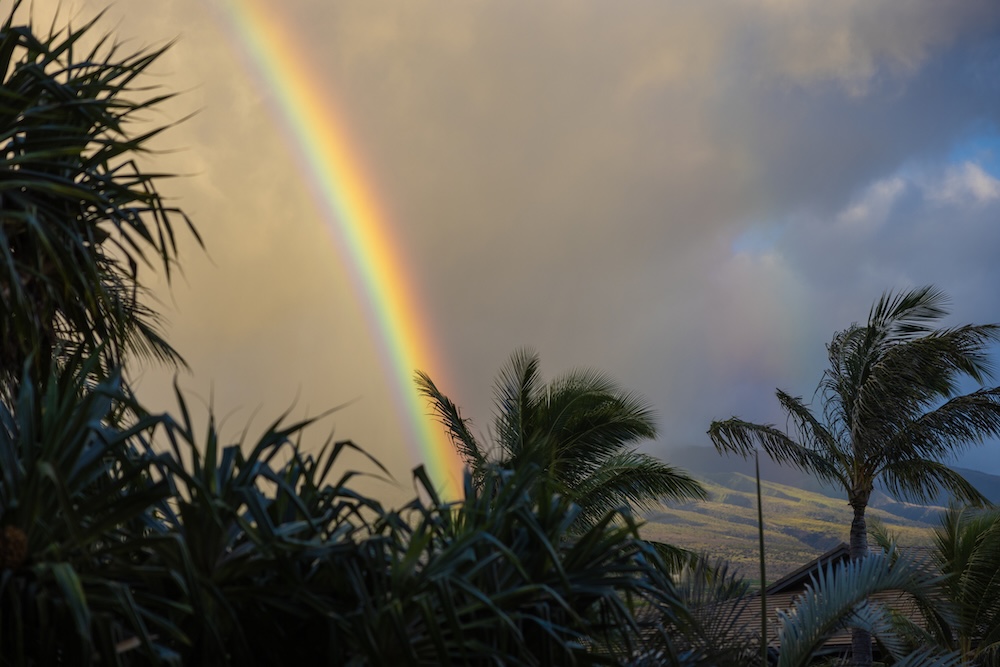 rainbow in maui