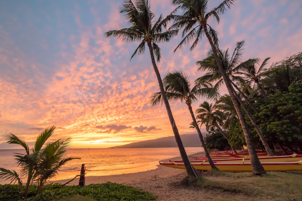 outrigger canoes on maui beach