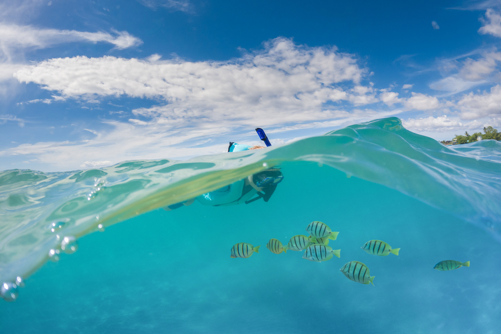 best places to snorkel in maui