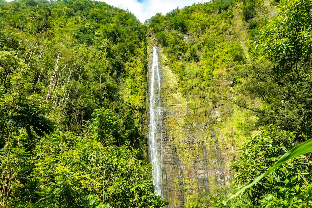 The stunning Waimoku Falls at the end of the Pipiwai Trail.